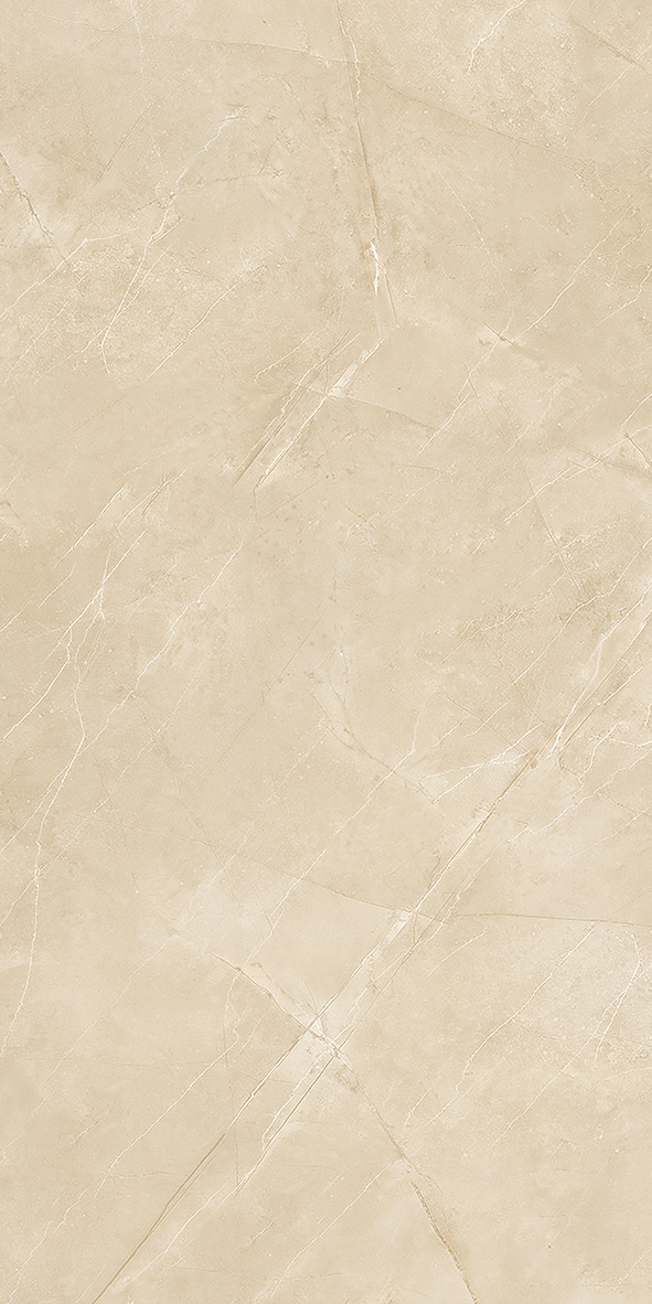 BF612019-2 600*1200mm