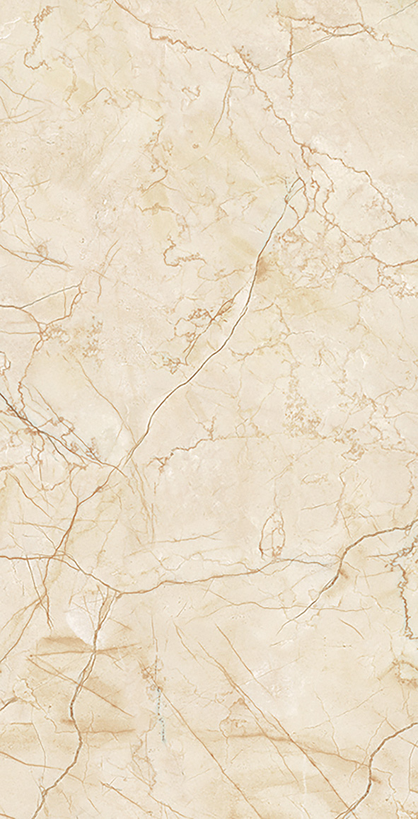 BF612021  600*1200mm