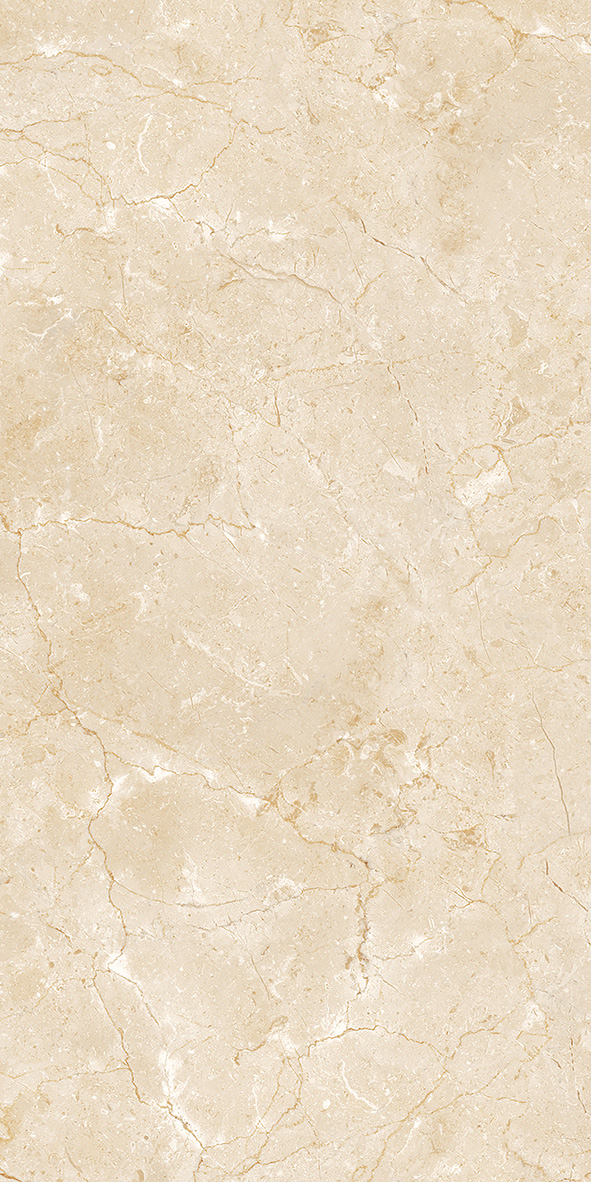 BF612022-1  600*1200mm